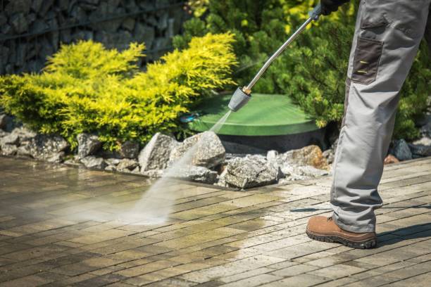 Best Soft Washing  in Leitchfield, KY