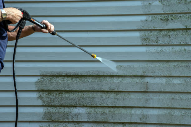 Best Gutter Cleaning  in Leitchfield, KY